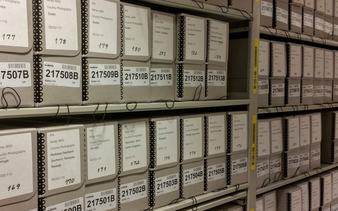 Newsletter – November 2025